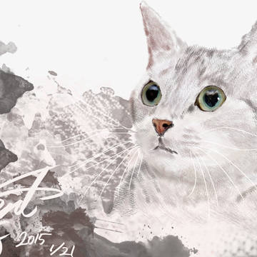 初の液タブ