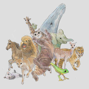 animal
