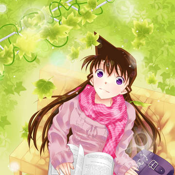 毛衣兰