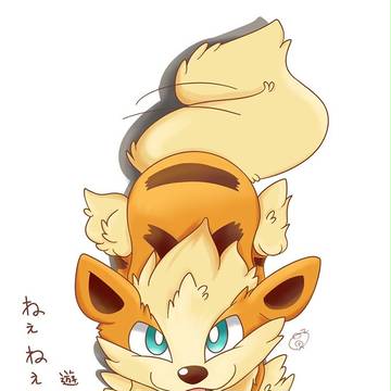 ウインディ