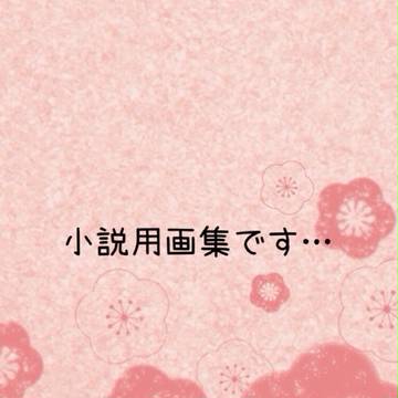 小説用画集です…