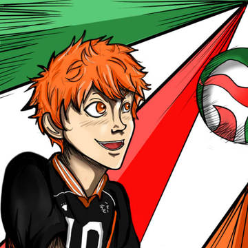 Hinata Haikyuu Collection