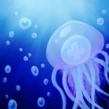 jellyfish