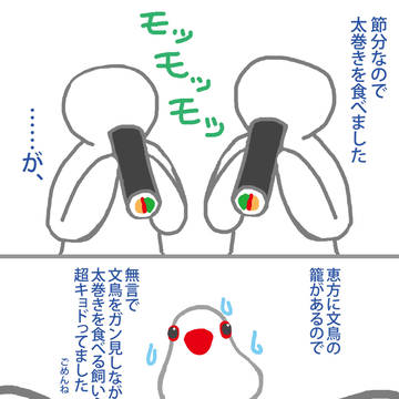 節分と文鳥
