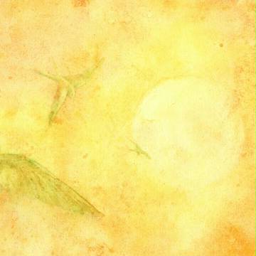 南の空から燕がやってくる