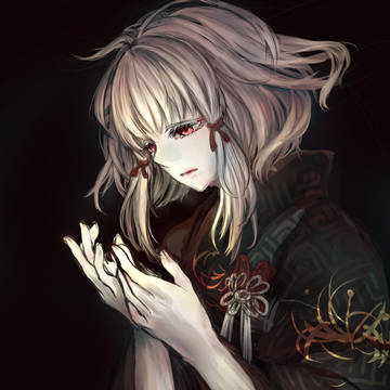 白菊