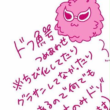 ドフ鰐詰め合わせ