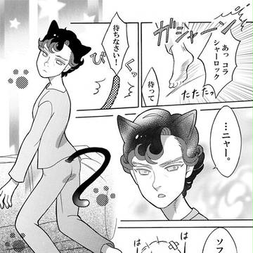 サイン（猫）