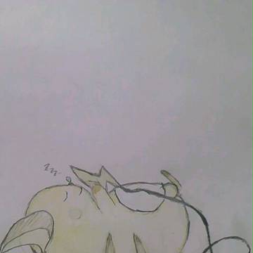 いねむりライチュウ