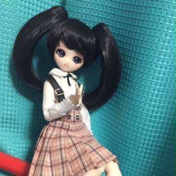 我が家の新人雪姫(ゆき)ちゃん