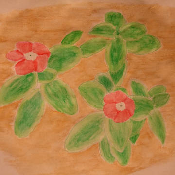 にちにち草