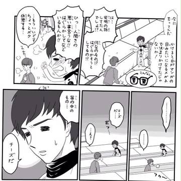 レイチェン(かもしれない)