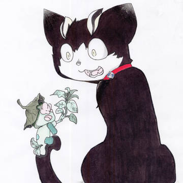 クロとニーちゃん　