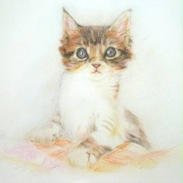 ひょこっ