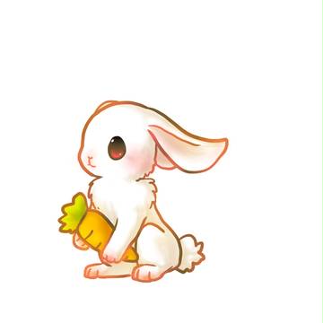 rabbit