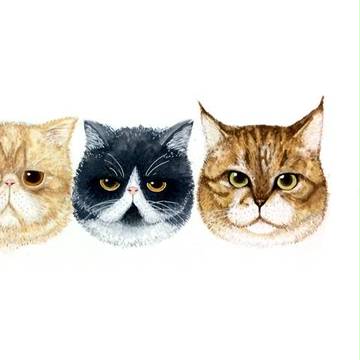Meow