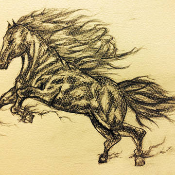 馬