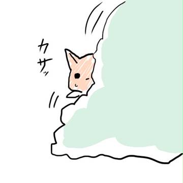 【境目町】こっそり見てた【交流】