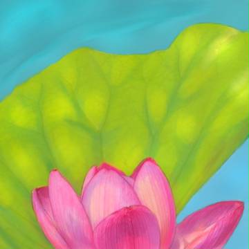 蓮