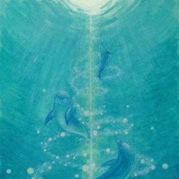 dolphin migration