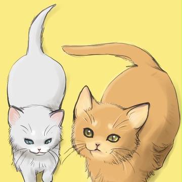 まろねこ