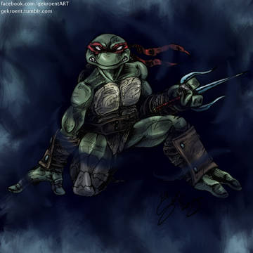 DTR Raphael
