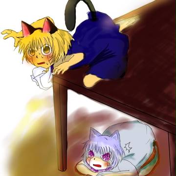 猫の日