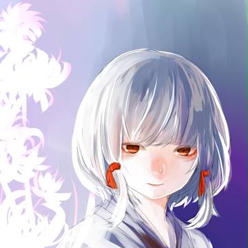 落書き白菊