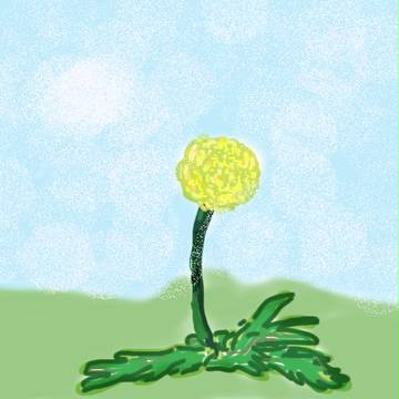 たんぽぽ