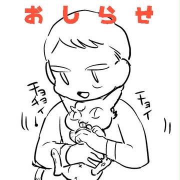 通販のお知らせ