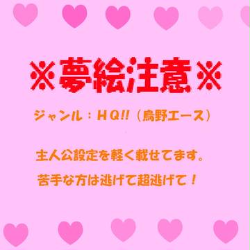 【注意】夢主設定【再投稿】