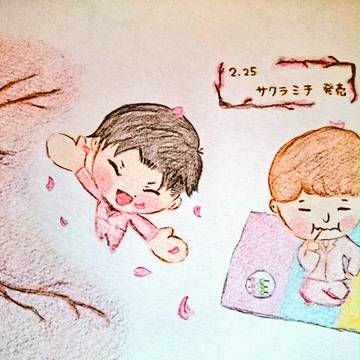 サクラミチ