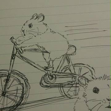 mouse riding