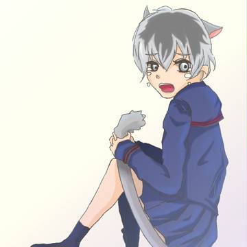 猫琲世