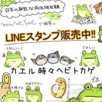LINEスタンプ販売中