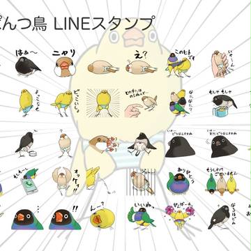 おぱんつ鳥　LINEスタンプ告知（※15/05/07販売開始）