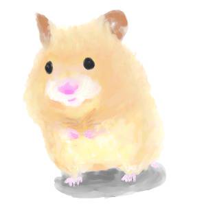 我が家のぽてち