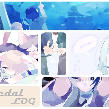 ペダルログ１
