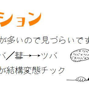 カイダン詰め②