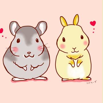 チンチラとうさぎ