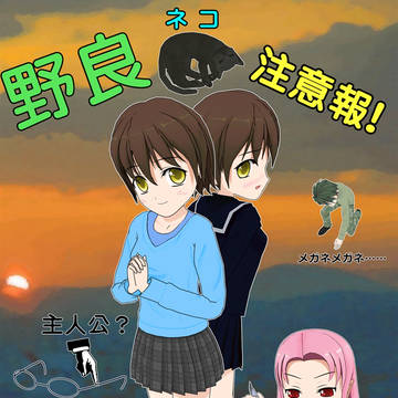 野良猫注意報！