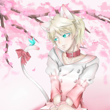 Slaine cat