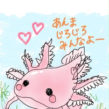 ツンデレ★ウーパールーパー