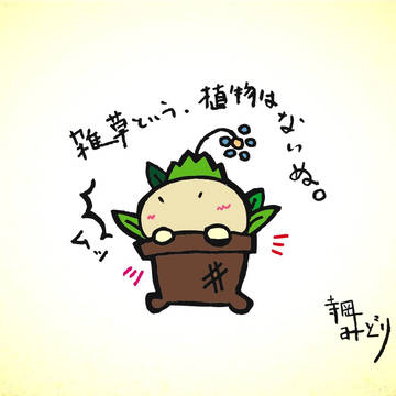 たまには足元もみてみましょう。