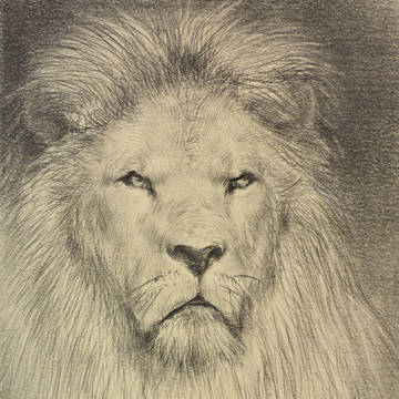 随手画