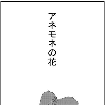アネモネの花
