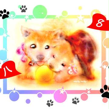 ハチコー*