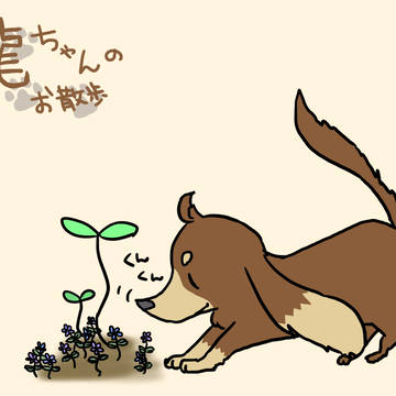 龍ちゃんのお散歩
