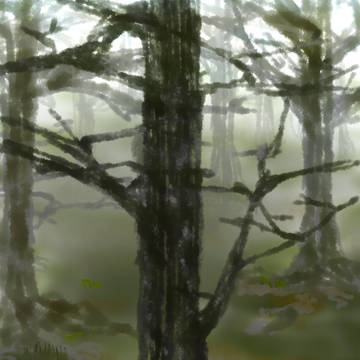 森