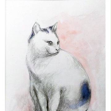 ハートの猫